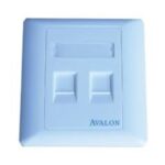 Avalon AN-WSFP-2P DUAL PORT FACE PLATE
