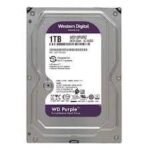 Western Digital WD10PURZ Purple 1TB Surveillance Hard Drive