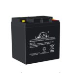 LEOCH LP12-24 (12V 24Ah) SERIES-GENERAL PURPOSE BATTERY