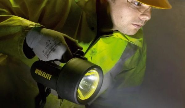 Wolflite H-251ALED Rechargeable Handlamp - Image 2