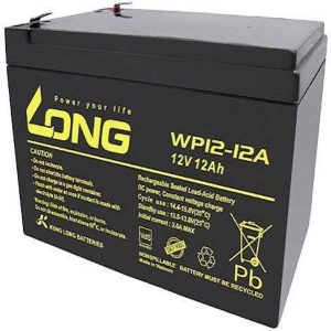 LONG WP12-12A 12V 12Ah Rechargeable Sealed Lead Acid (VRLA)