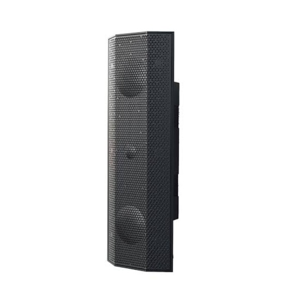 Lithe Audio iO1 Indoor & Outdoor Speaker-Passive| Black