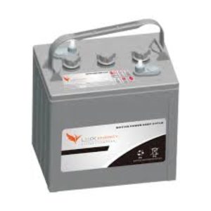Lux Energy LE-890 8V 190Ah Motive Power Deep-Cycle Flooded Lead-Acid Battery
