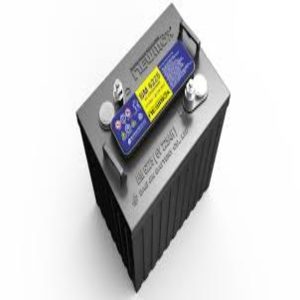 Newmax Powermax BM 6225 6V 225Ah Power Deep Cycle Battery
