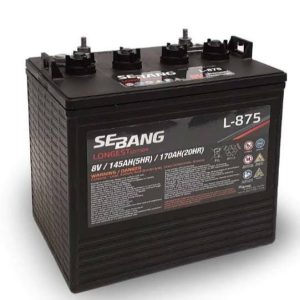 SEBANG GLOBAL BATTERY(L-875)