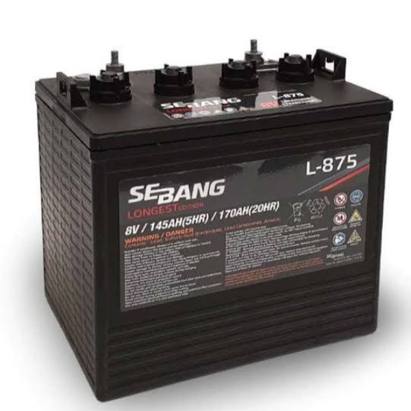 SEBANG GLOBAL BATTERY(L-875)